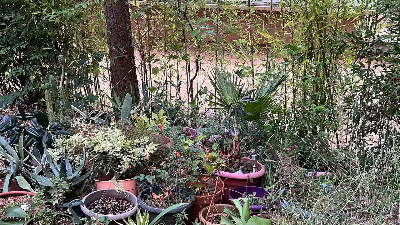 Photo of Outdoor in Grass Valley