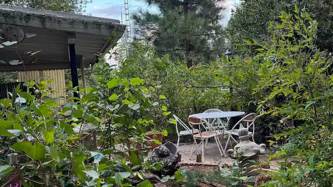 Photo of Outdoor in Grass Valley