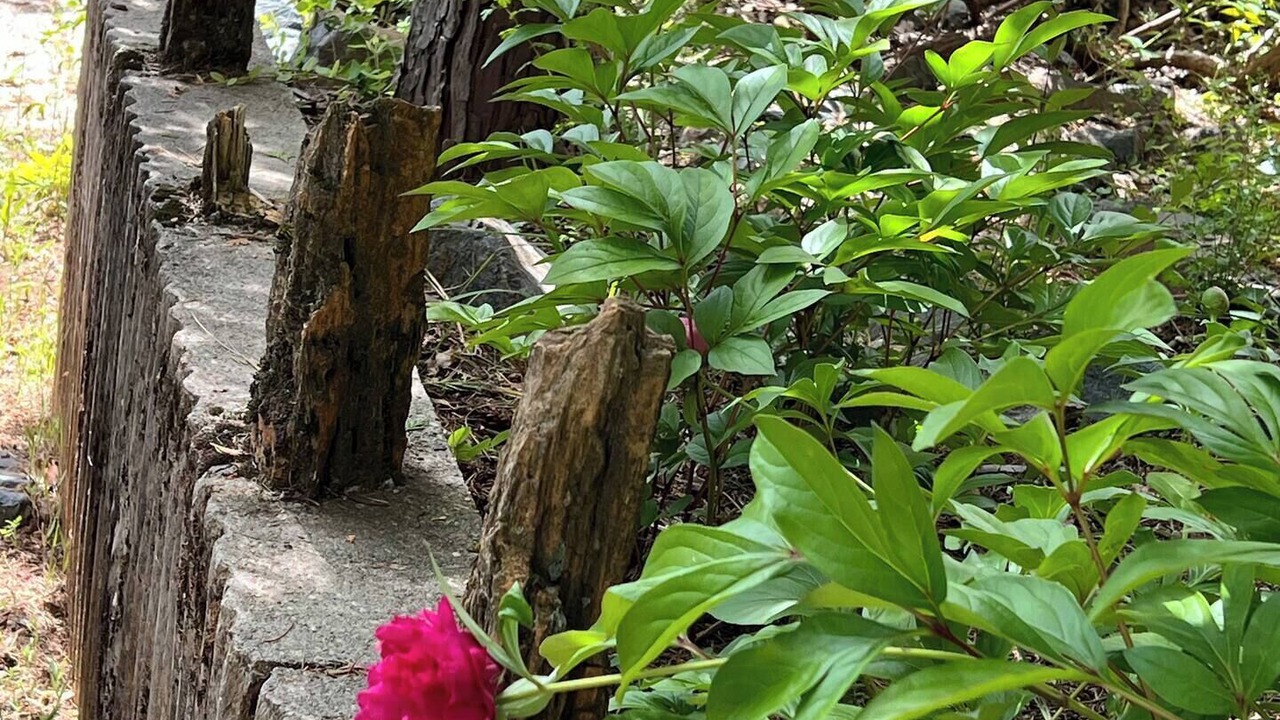 Photo of Outdoor in Grass Valley