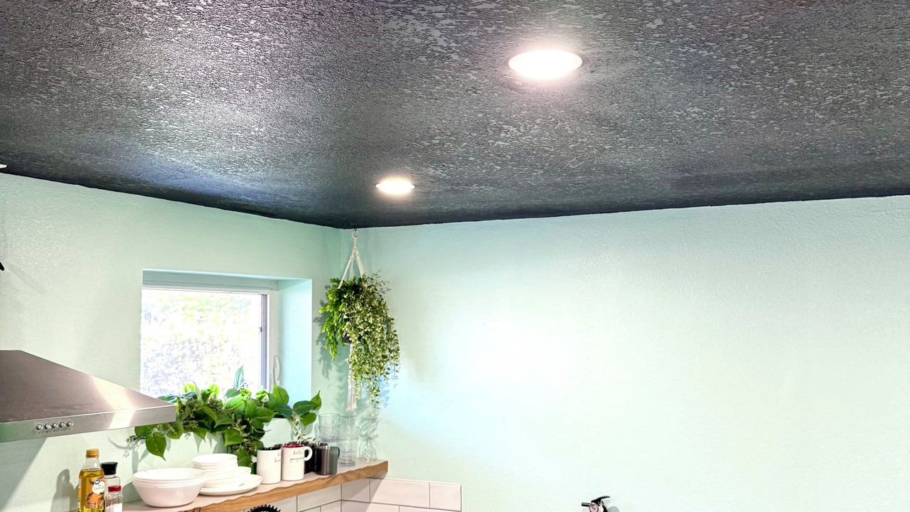 Photo of Kitchen in Lutz