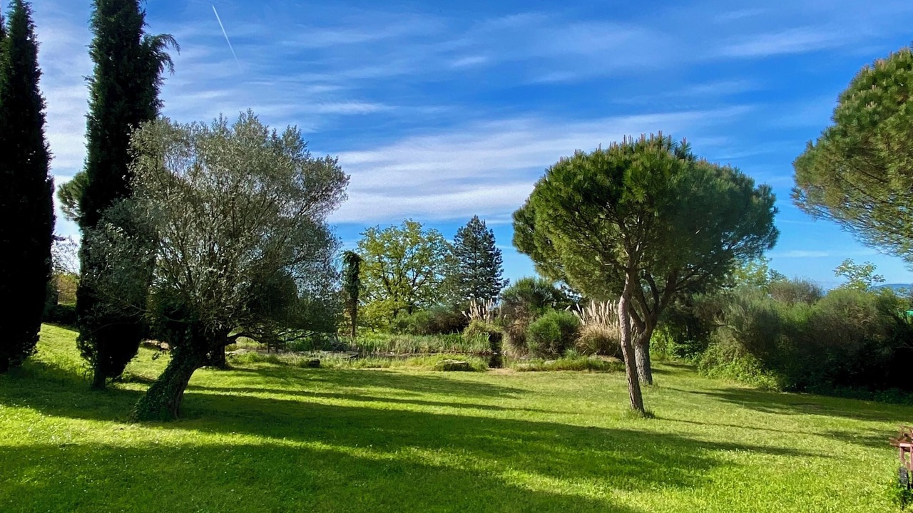 Photo of Outdoor in Ampuis