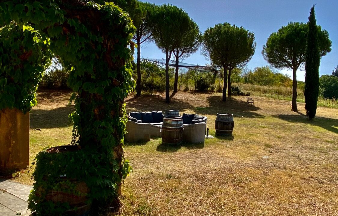Photo of Outdoor in Ampuis