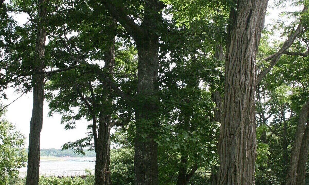 Photo of Outdoor in Tatamagouche