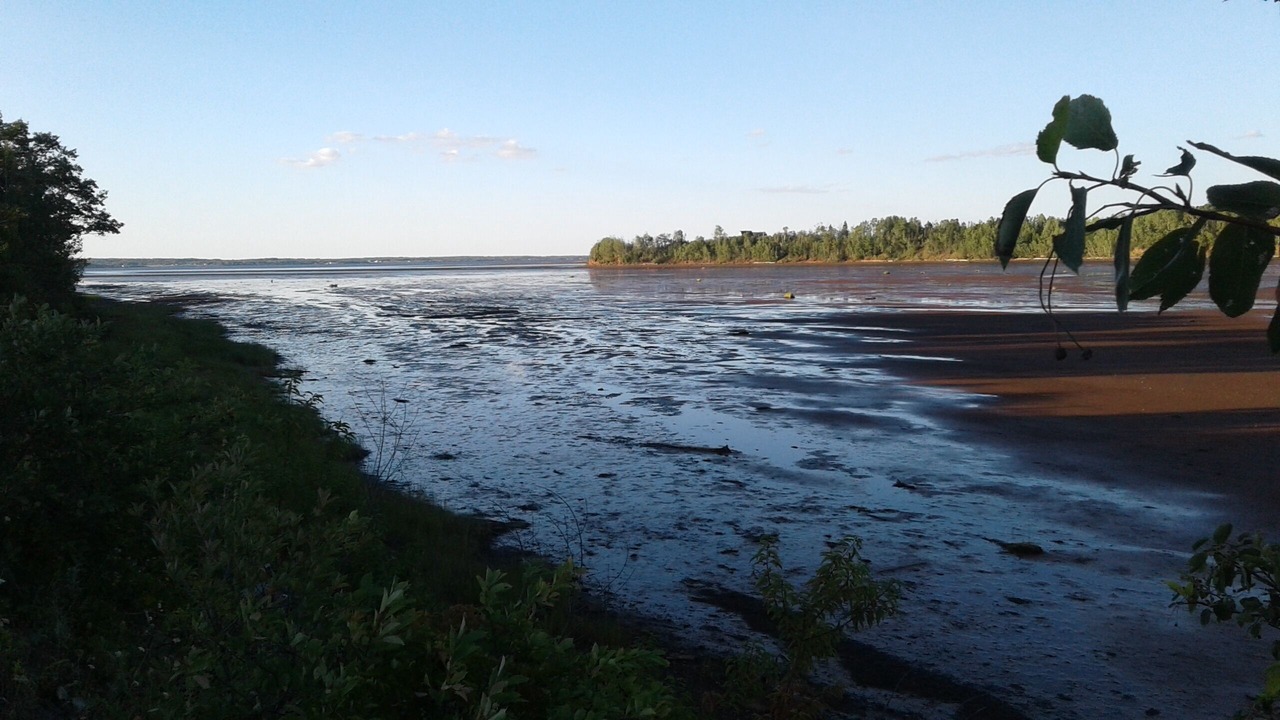 Photo of Others in Tatamagouche