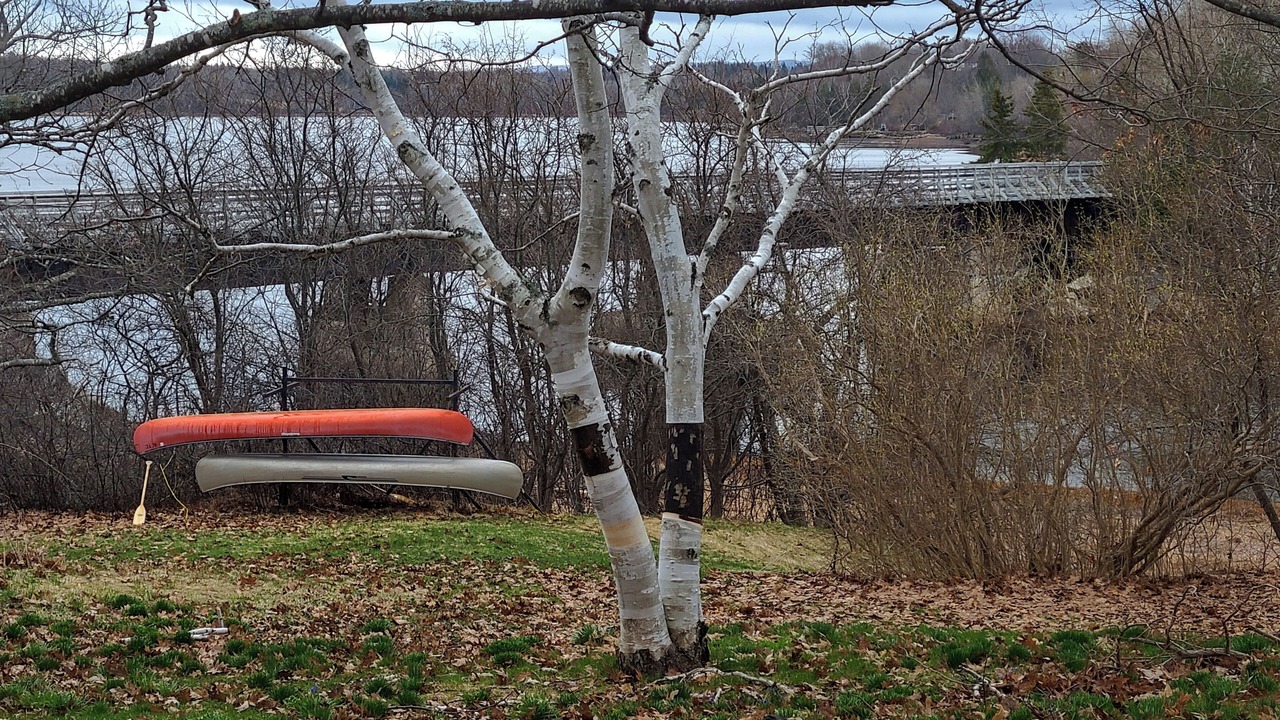 Photo of Others in Tatamagouche