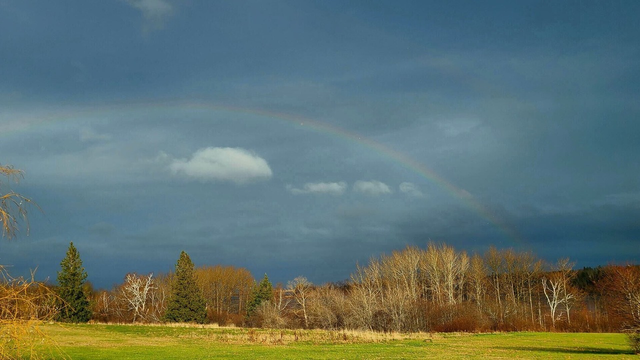 Photo of Others in Tatamagouche