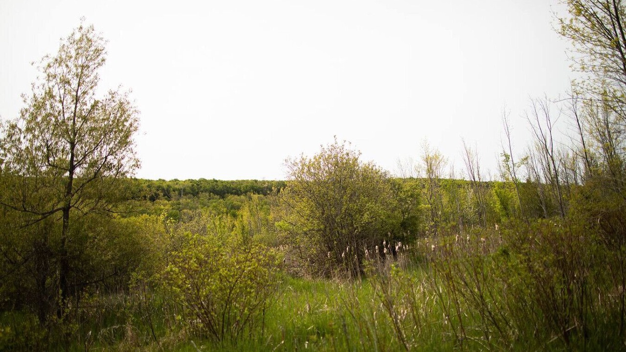 Photo of Others in Georgian Bluffs