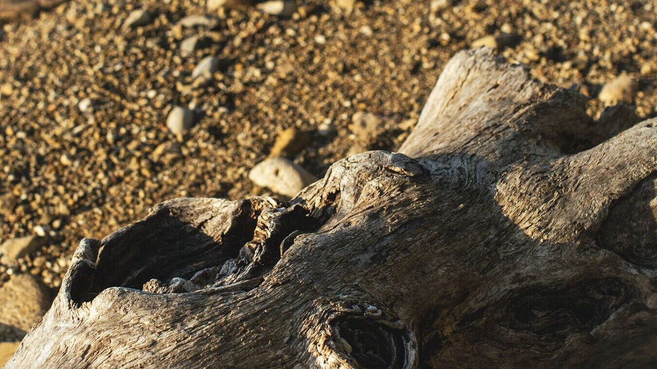 Photo of Others in Georgian Bluffs