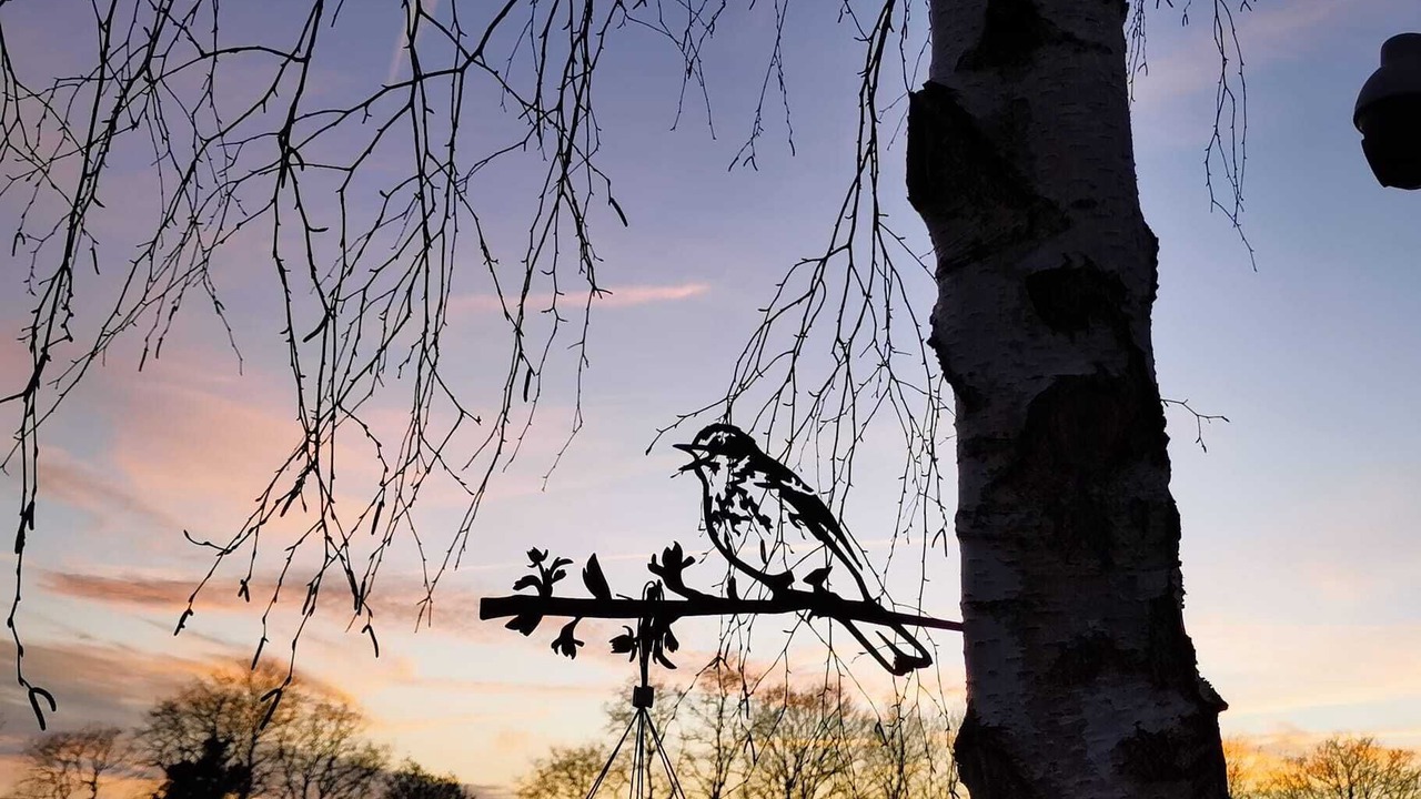 Photo of Outdoor in La Chapelle-d'Aligne