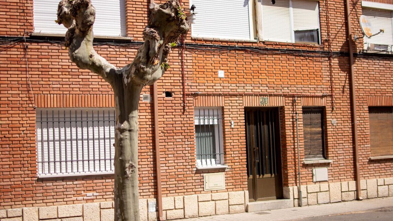 Photo of Outdoor in Penafiel