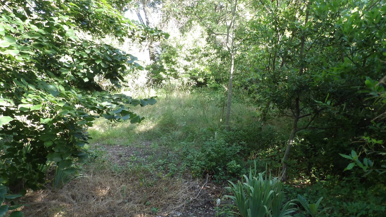 Photo of Outdoor in Causse-de-la-Selle