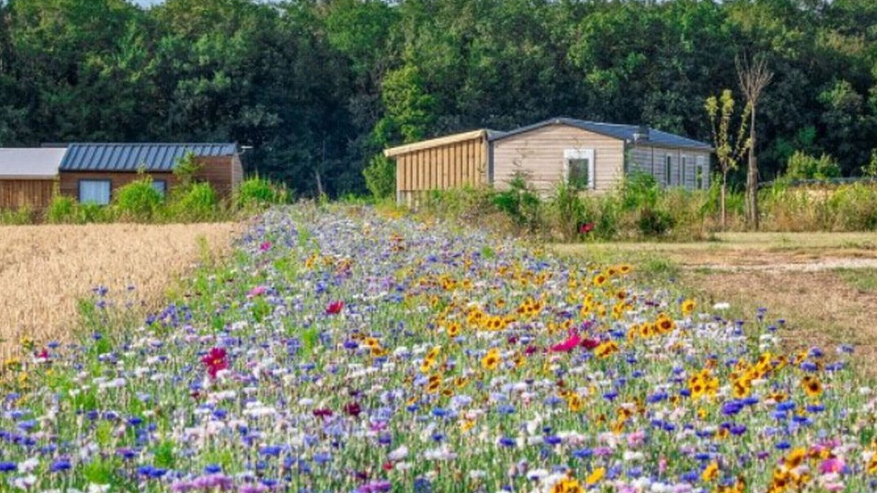 Photo of Outdoor in Seillac