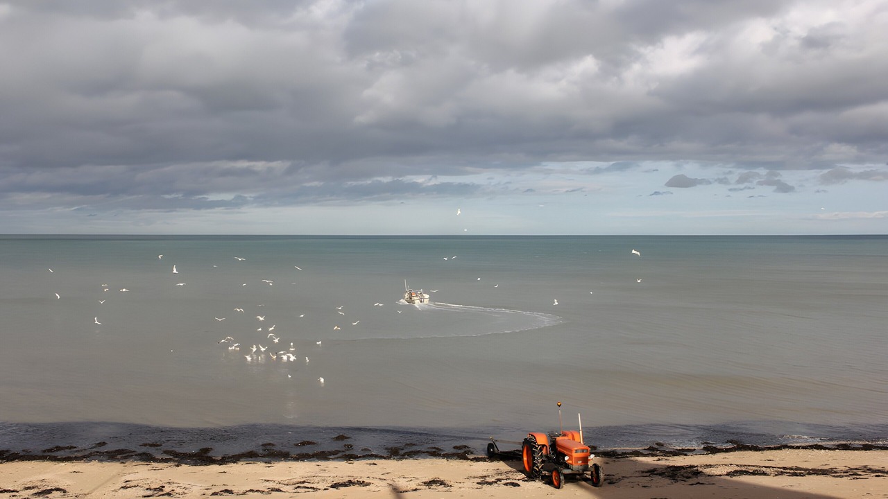 Photo of Others in Langrune-sur-Mer