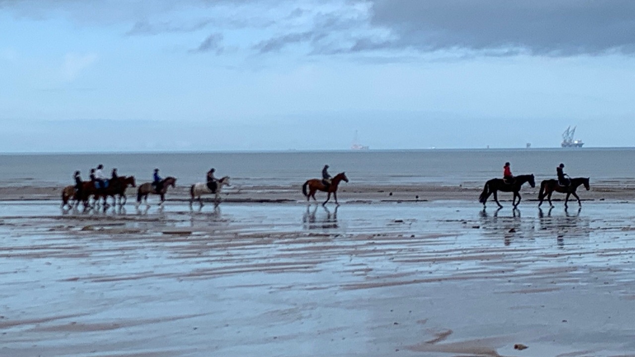 Photo of Others in Langrune-sur-Mer