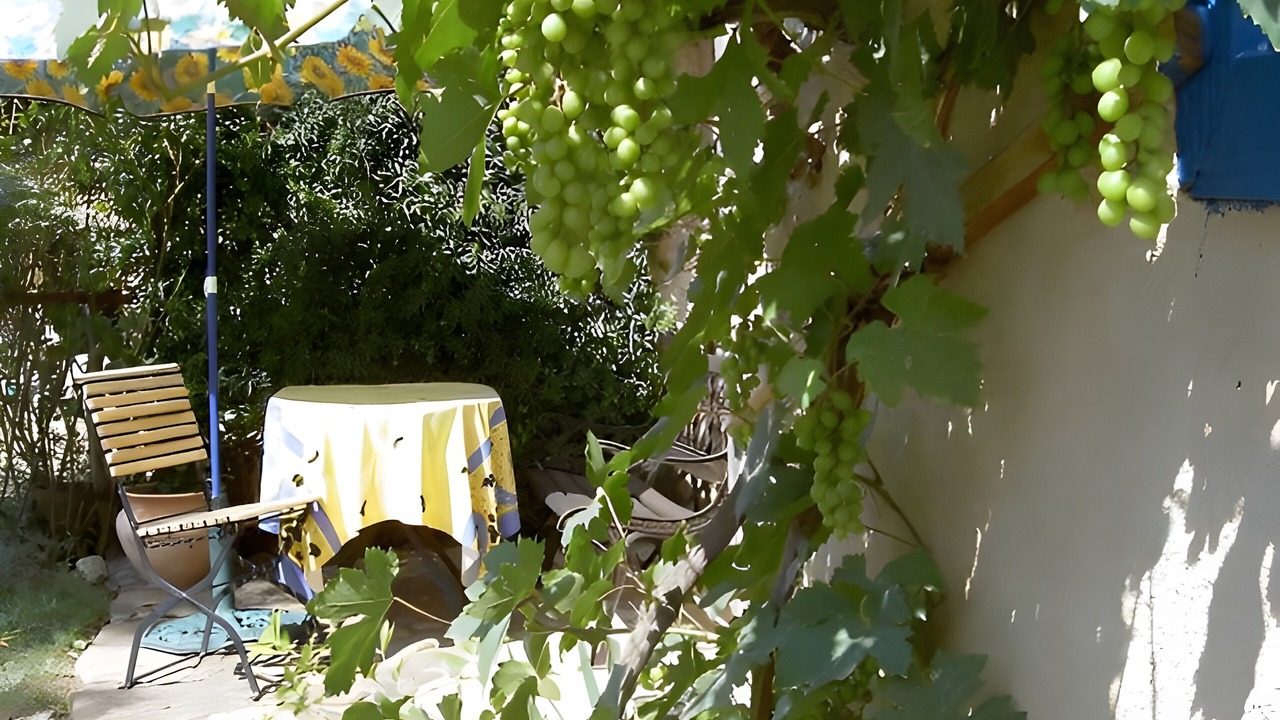Photo of Patio Balcony in Gensac-de-Boulogne