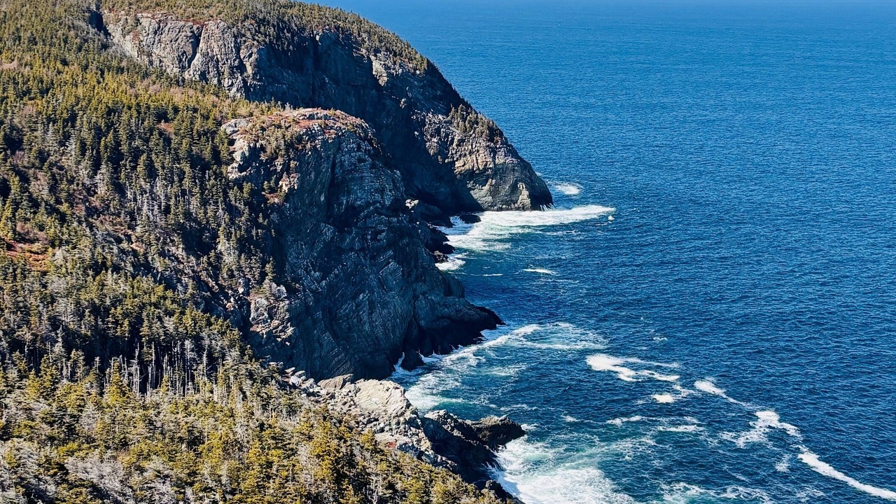 Photo of Others in Pouch Cove