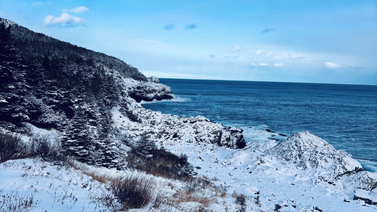 Photo of Others in Pouch Cove