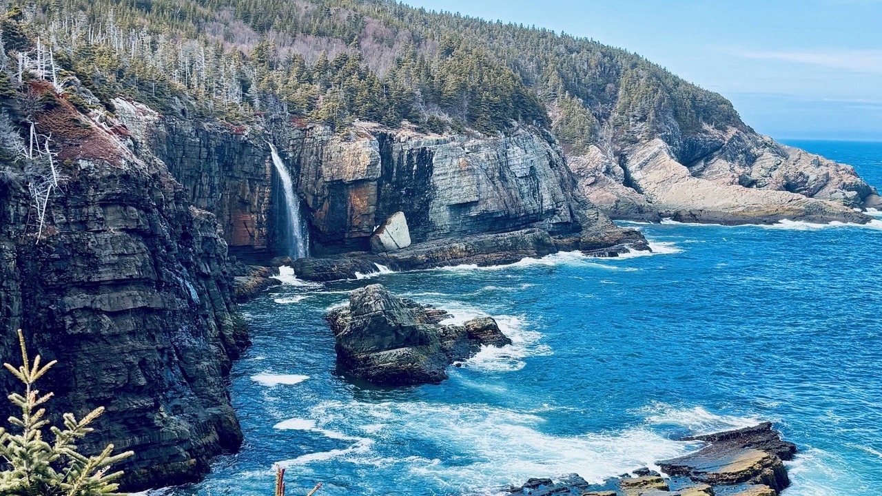 Photo of Others in Pouch Cove