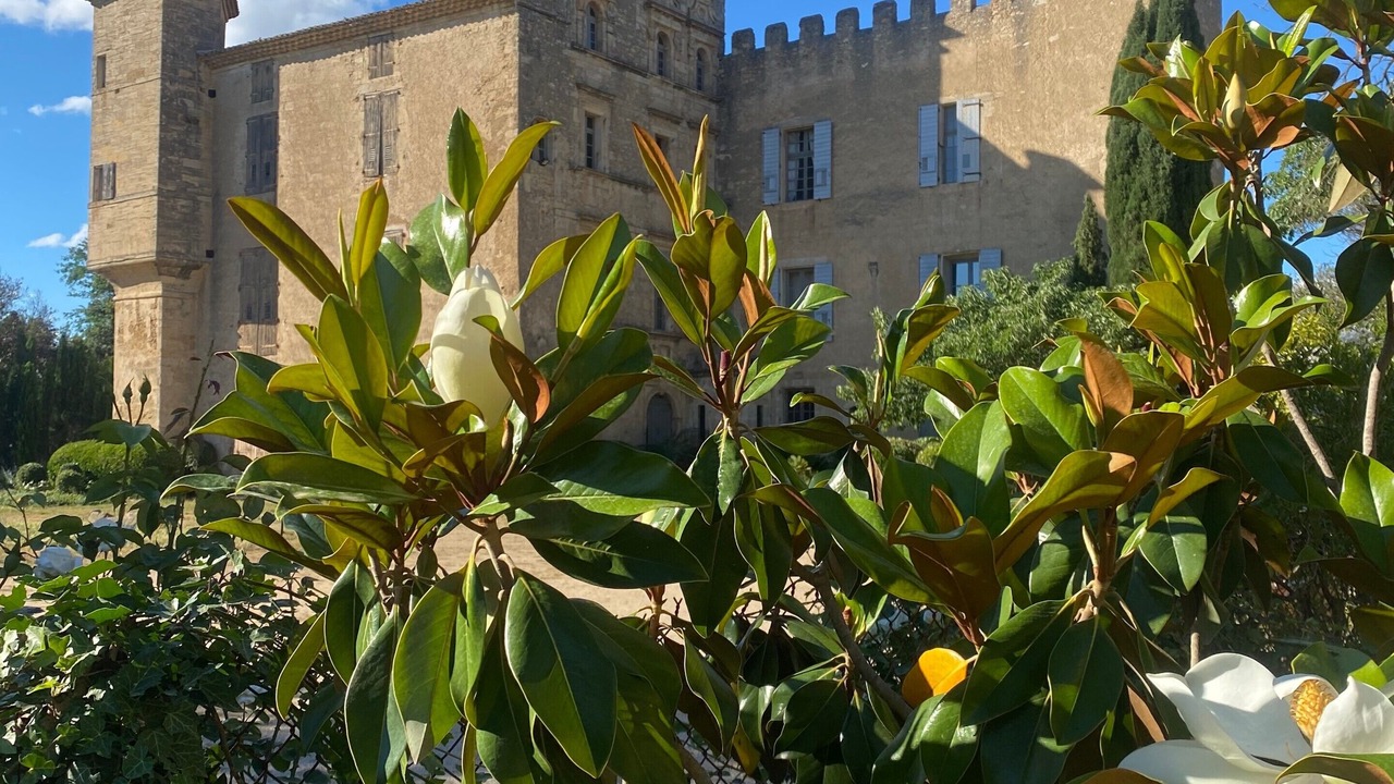 Photo of Outdoor in Lieuran-les-Beziers