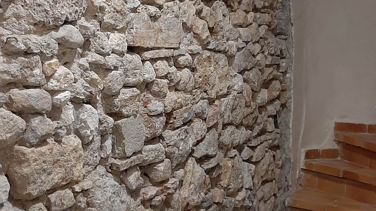 Photo of Others in Centre Historique