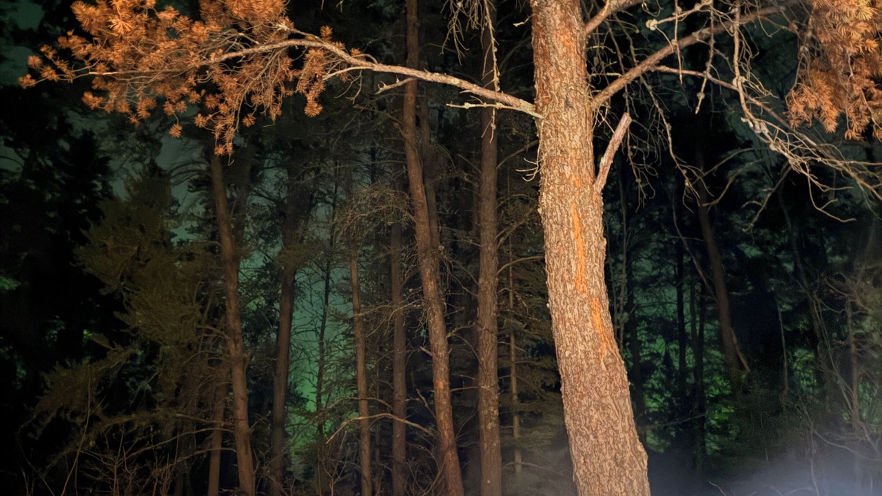 Photo of Outdoor in Grand Marais