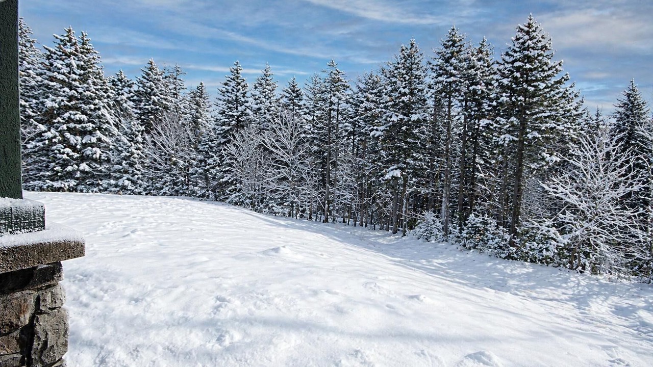 Photo of Others in Snowshoe