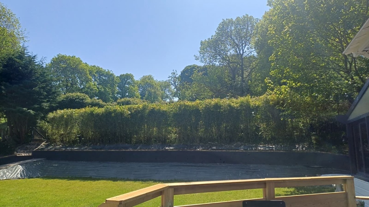 Photo of Outdoor in Bracquemont