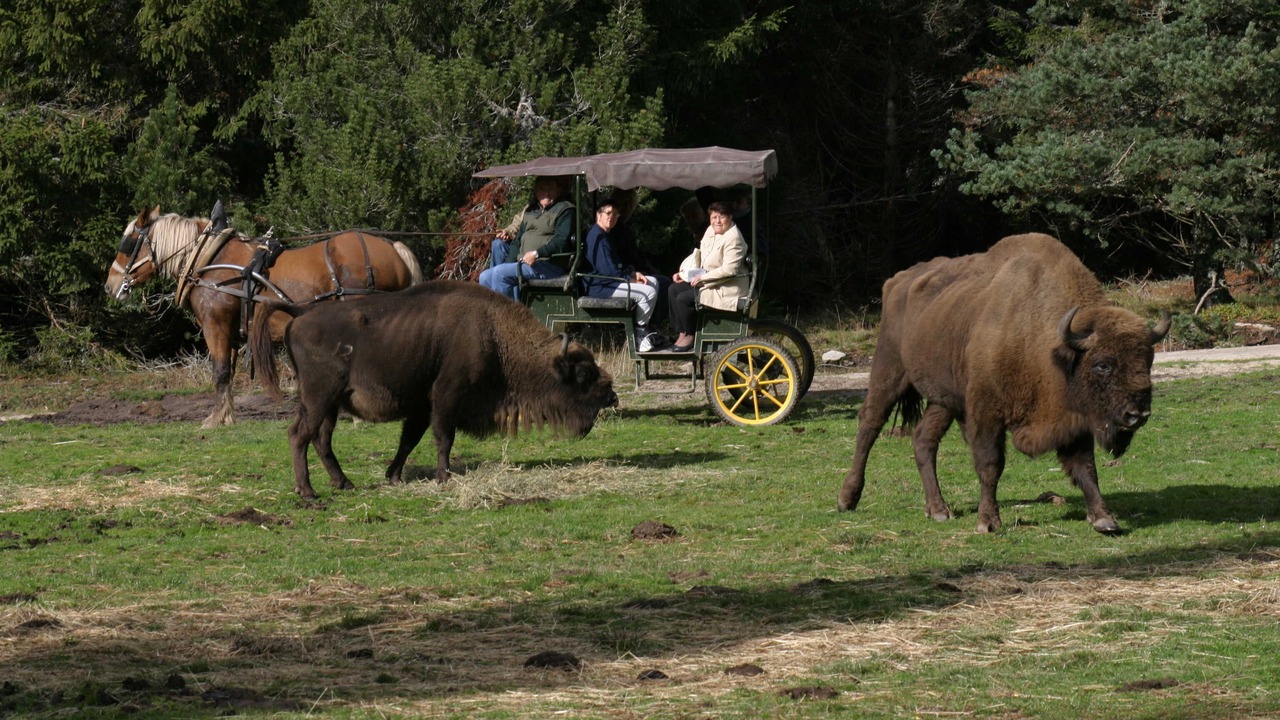 Photo of Others in Saint-Alban-sur-Limagnole