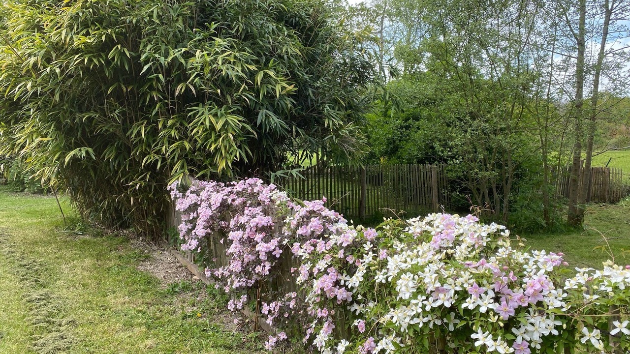 Photo of Outdoor in Herbignac