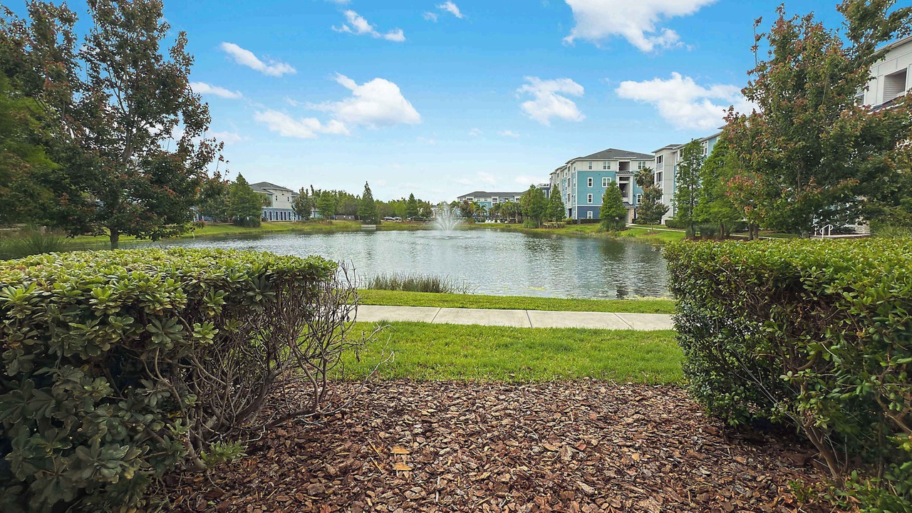 Photo of Outdoor in Clearwater