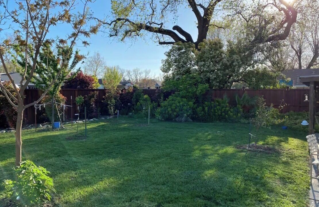 Photo of Outdoor in Woodland