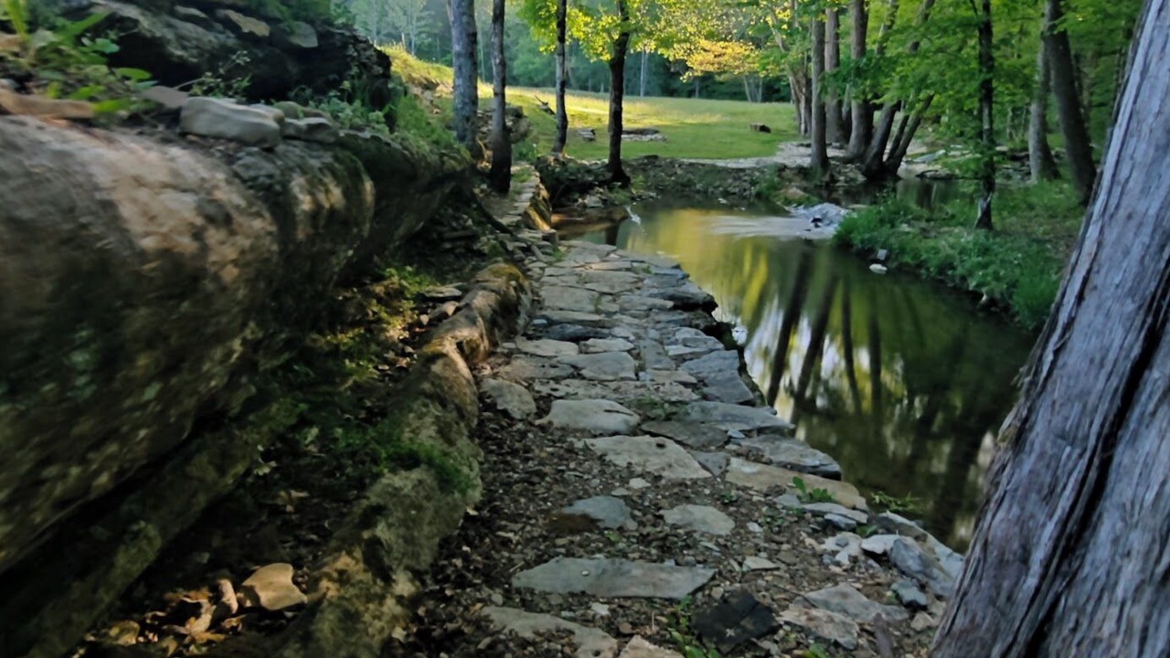 Photo of Others in Maynardville