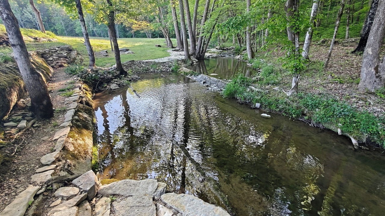 Photo of Others in Maynardville