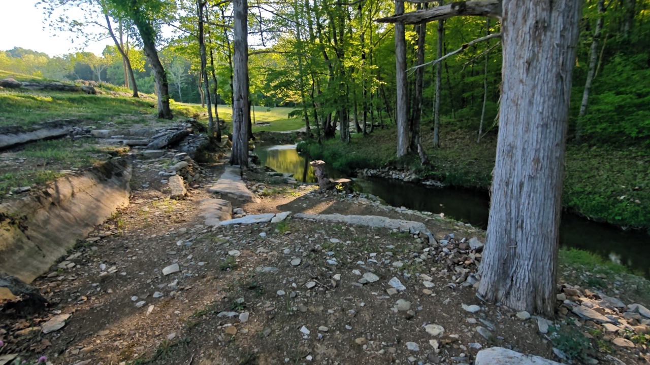 Photo of Others in Maynardville