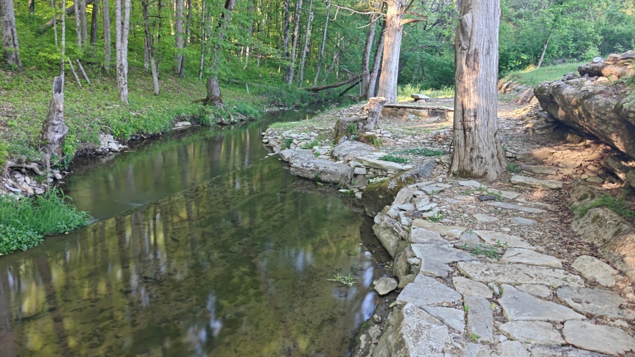 Photo of Others in Maynardville