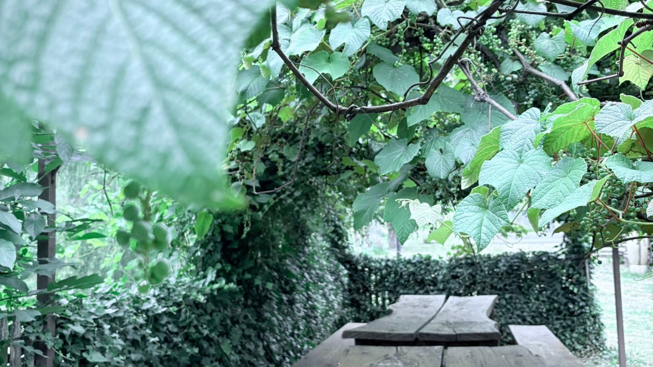 Photo of Outdoor in Mesnil Sous Les Cotes