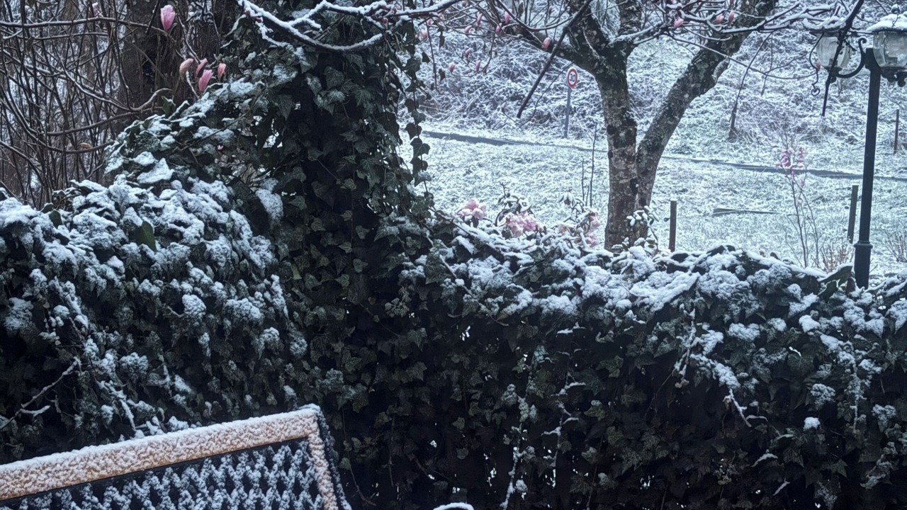 Photo of Outdoor in Mesnil Sous Les Cotes