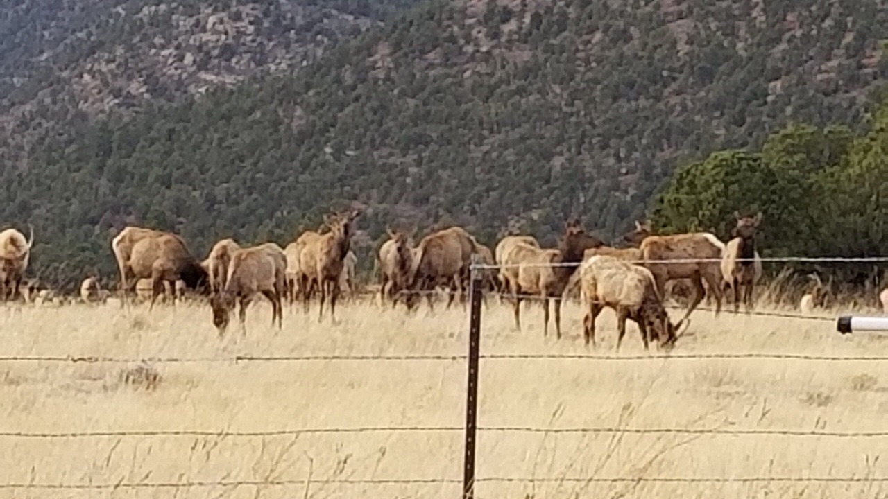 Photo of Others in Eagle Nest