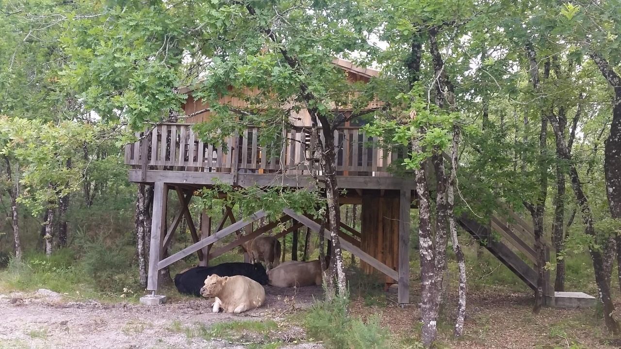 Photo of Outdoor in Cabanac-Et-Villagrains