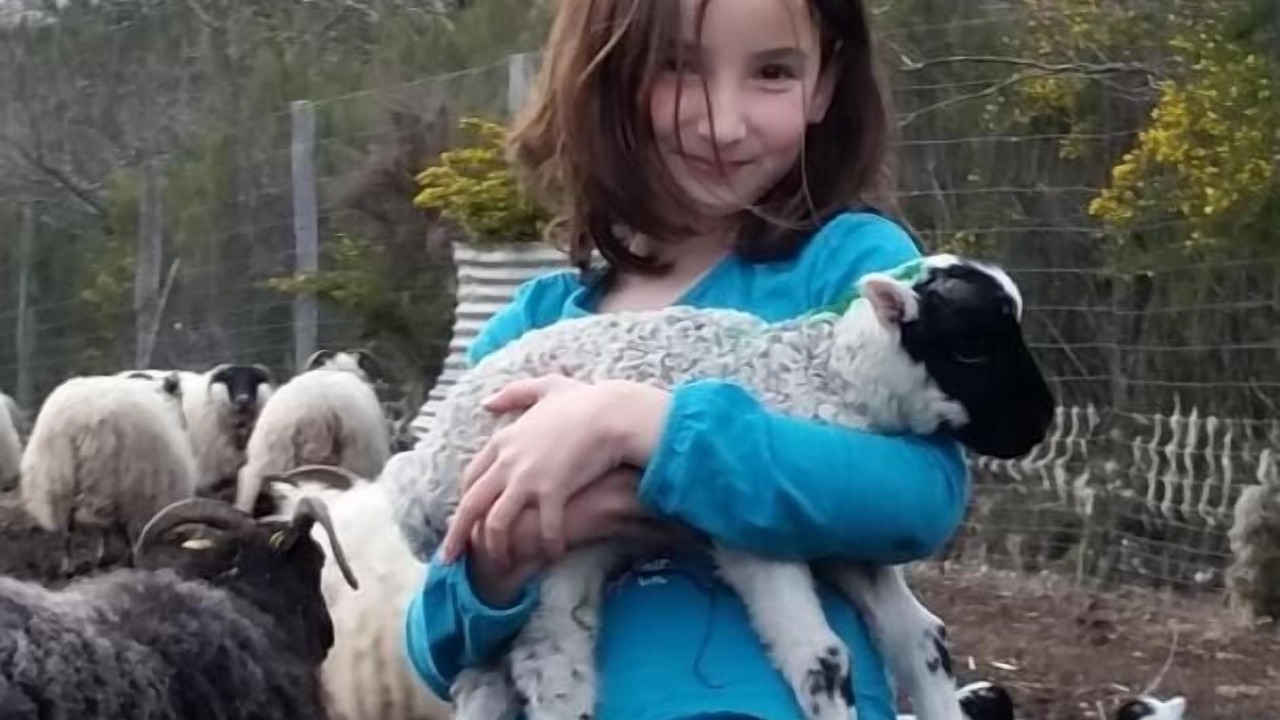 Photo of Others in Cabanac-Et-Villagrains