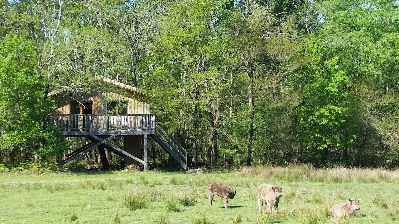 Photo of Outdoor in Cabanac-Et-Villagrains