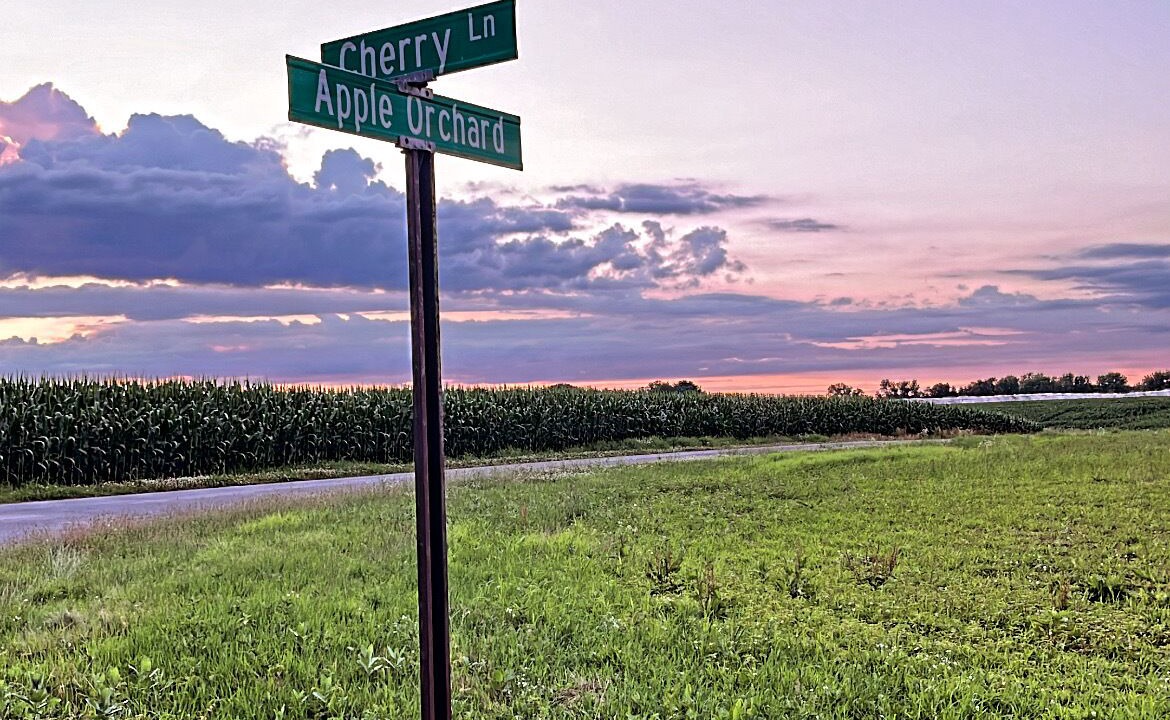 Photo of Others in Decatur