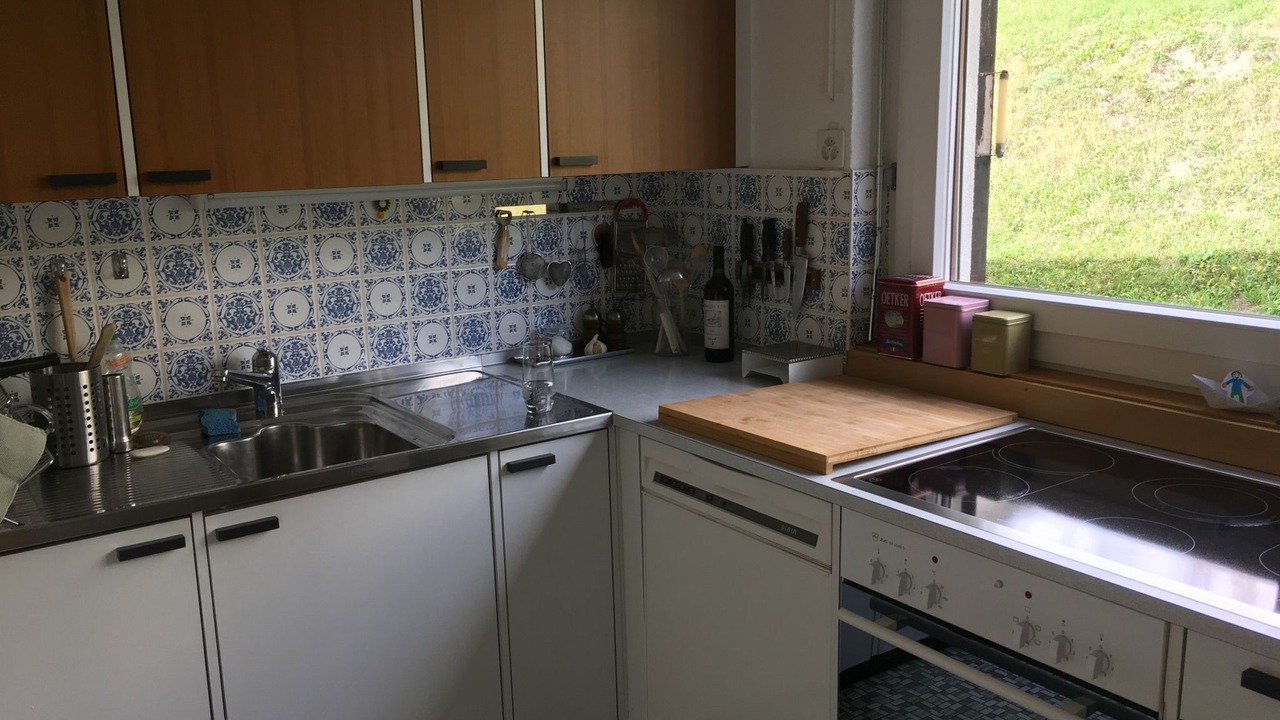 Photo of Kitchen in Tavanasa