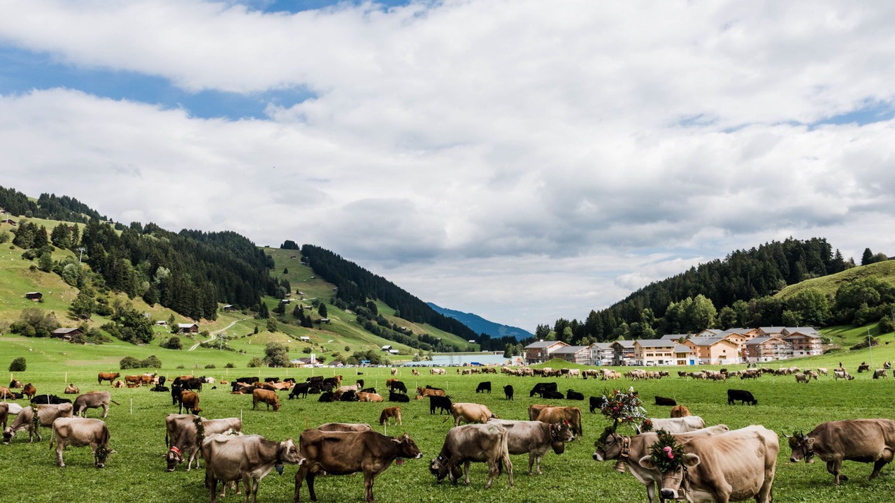 Photo of Others in Brigels