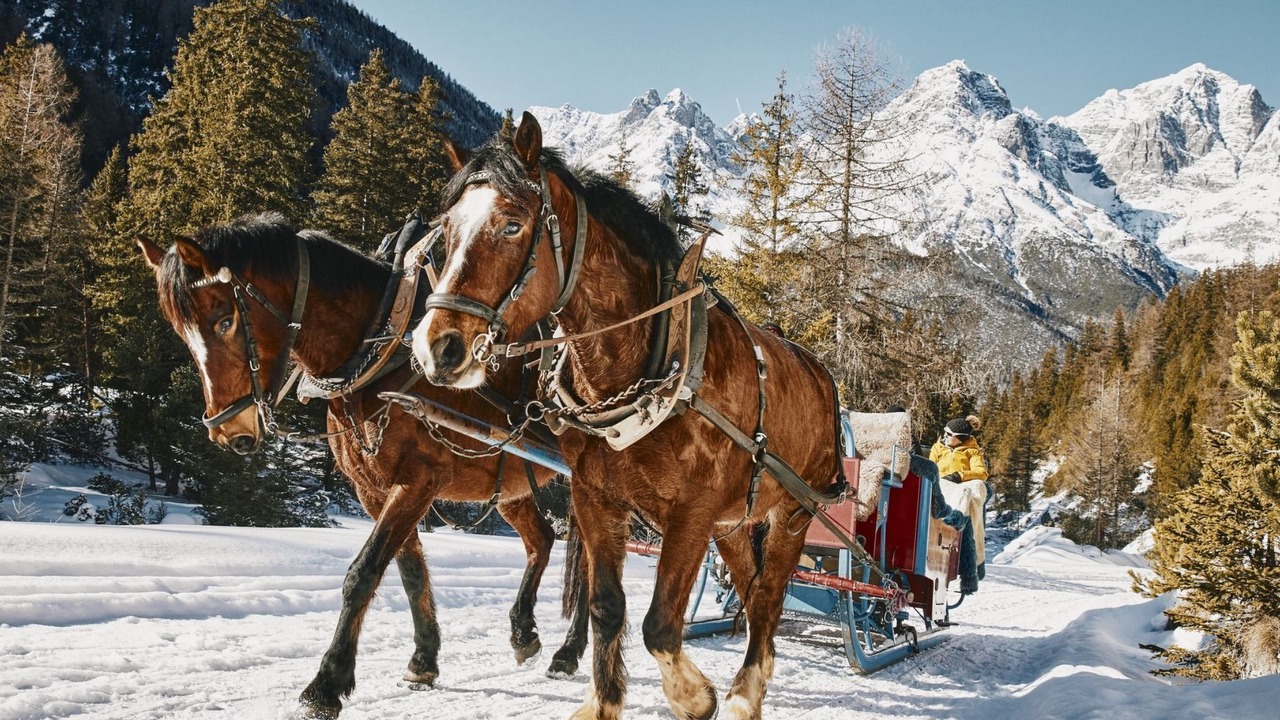 Photo of Others in Zernez