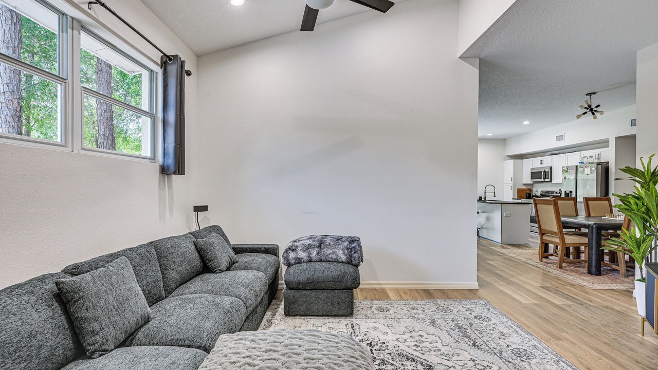 Photo of Livingroom in Lutz