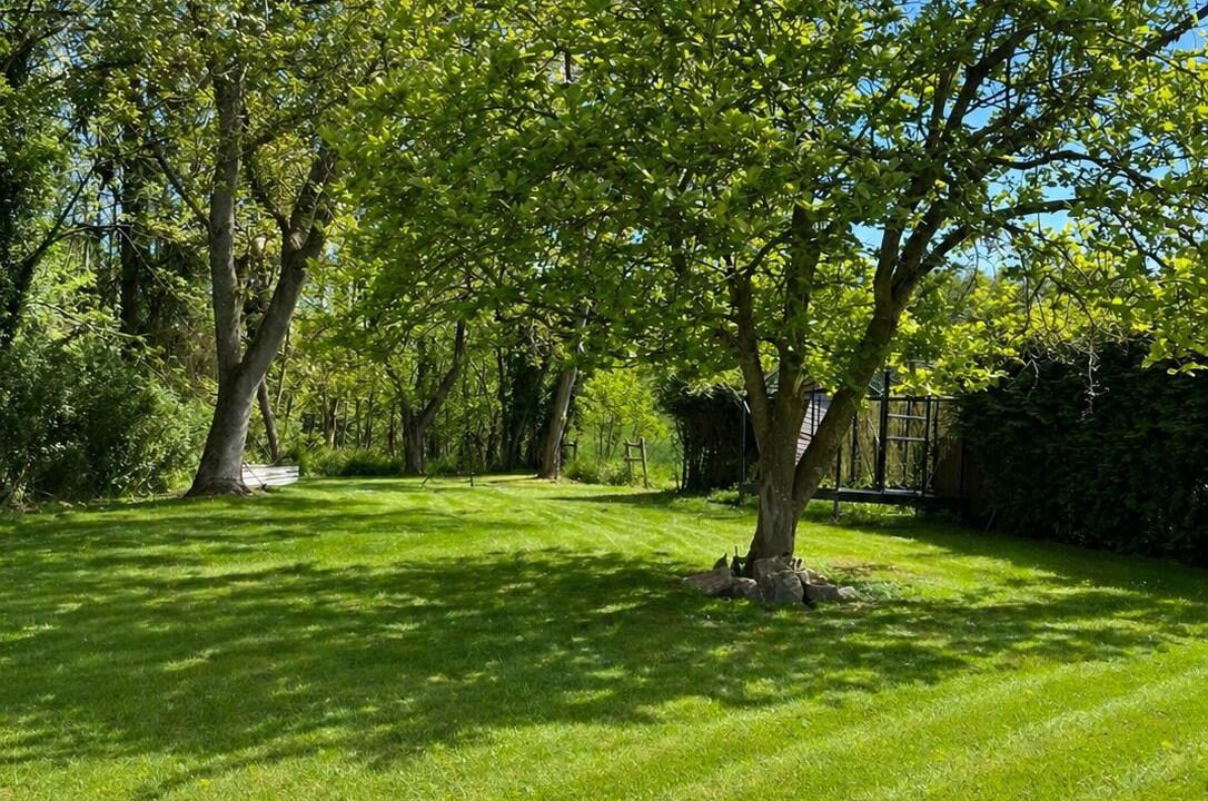 Photo of Outdoor in Foreste