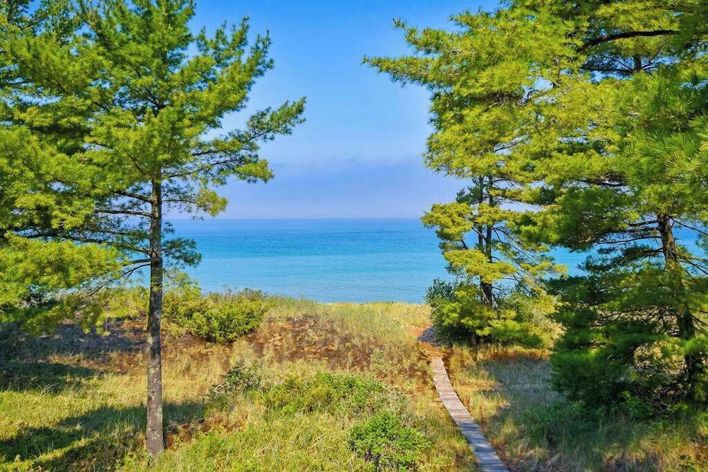 Photo of Others in Glen Arbor