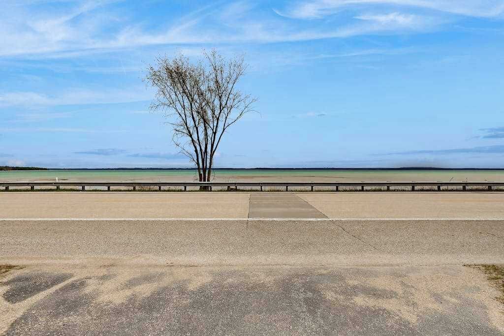 Photo of Others in Suttons Bay
