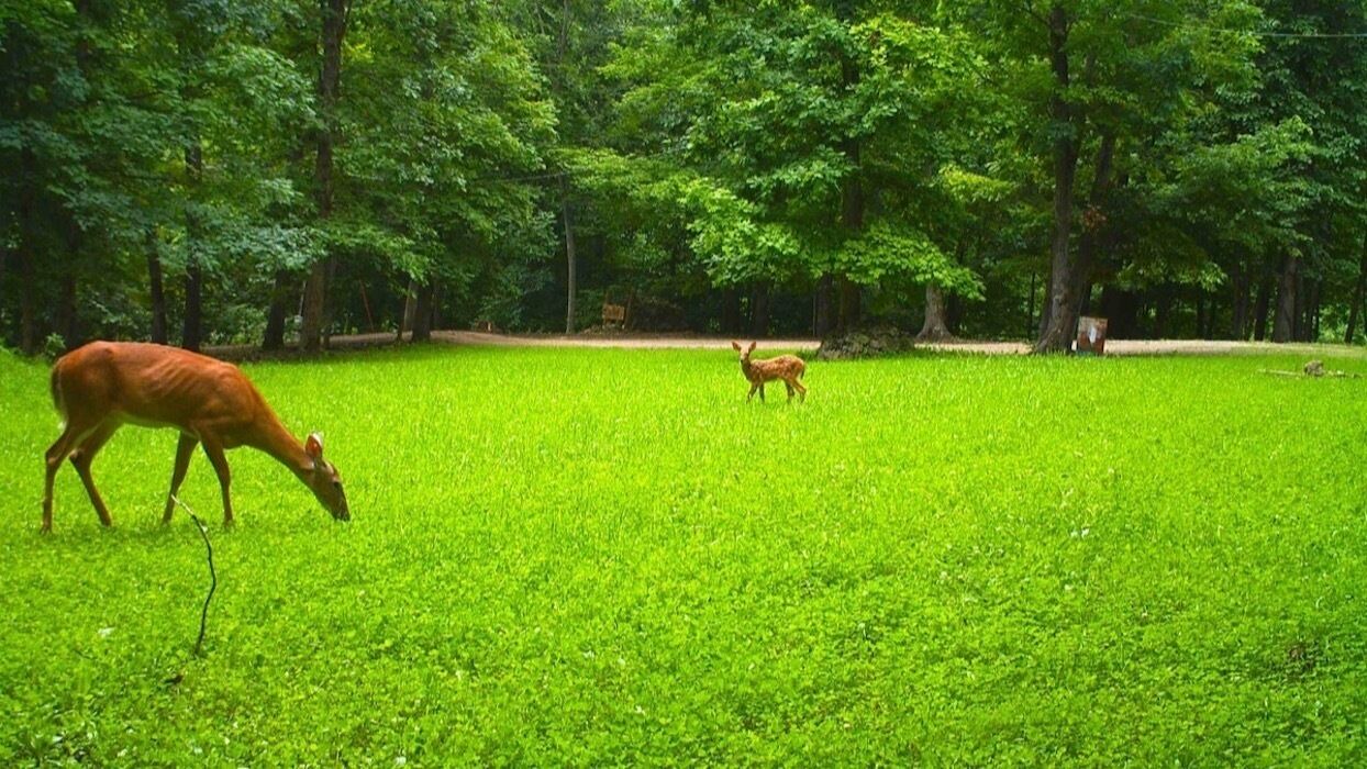 Photo of Others in Harpers Ferry
